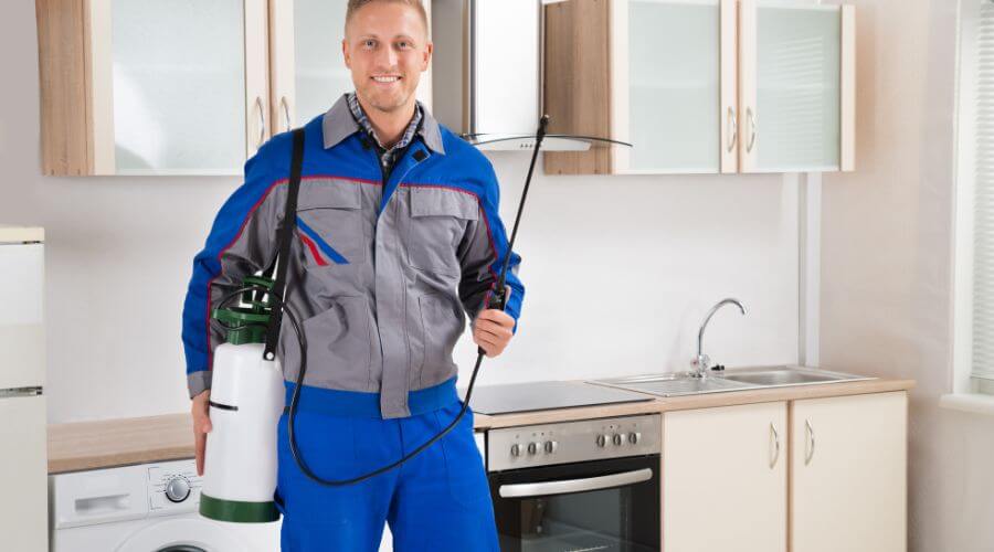 Professional spider extermination services in Willo Historic District - Spider Extermination Willo Historic District